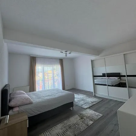 Borici Apartment *